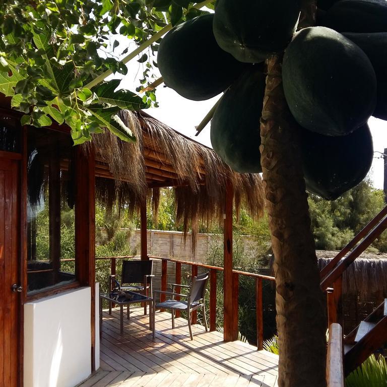 Lapa Lapa Lobitos Bungalows Ξενοδοχείο Εξωτερικό φωτογραφία